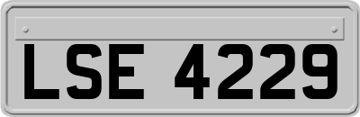 LSE4229