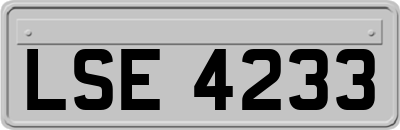 LSE4233