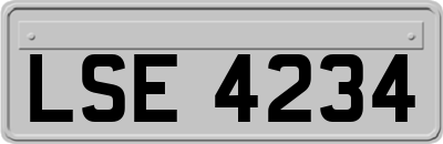 LSE4234