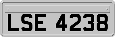 LSE4238