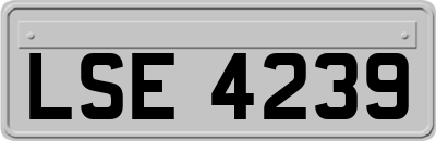 LSE4239