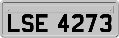 LSE4273