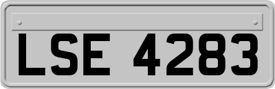 LSE4283