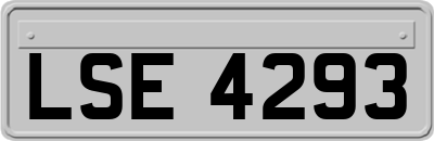 LSE4293