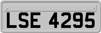 LSE4295