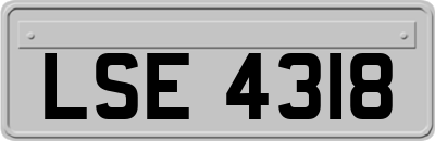 LSE4318
