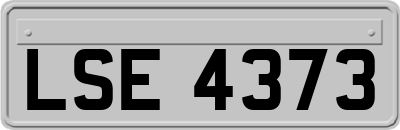 LSE4373