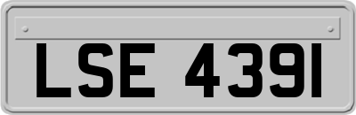 LSE4391
