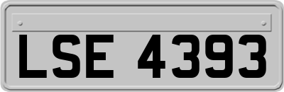 LSE4393