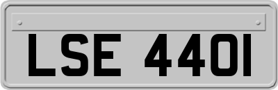 LSE4401