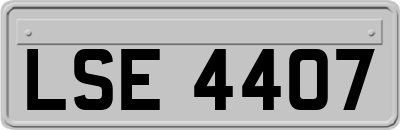 LSE4407