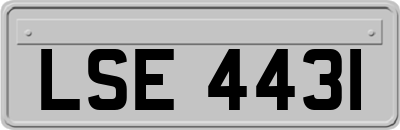 LSE4431