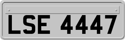 LSE4447