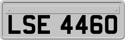LSE4460