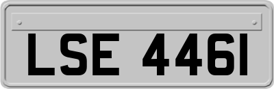 LSE4461