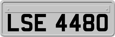 LSE4480
