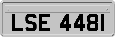 LSE4481