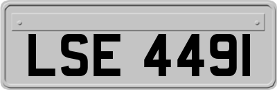 LSE4491