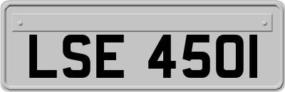 LSE4501