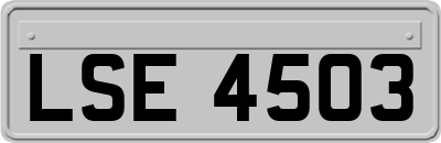 LSE4503
