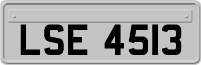LSE4513
