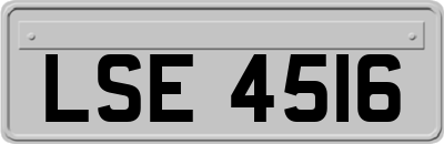 LSE4516