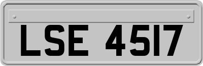 LSE4517