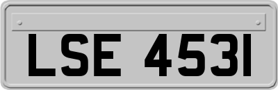 LSE4531