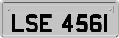 LSE4561