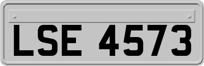 LSE4573