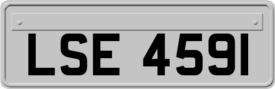 LSE4591