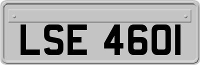 LSE4601