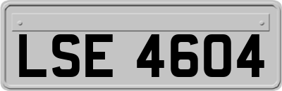 LSE4604