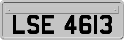 LSE4613