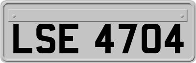 LSE4704