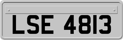 LSE4813
