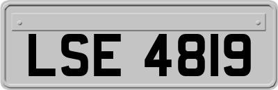 LSE4819