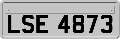 LSE4873