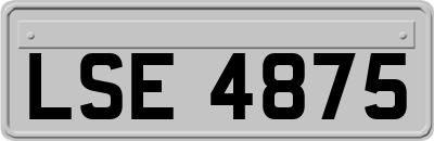 LSE4875
