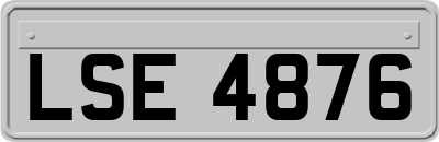 LSE4876