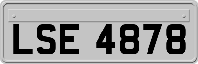 LSE4878