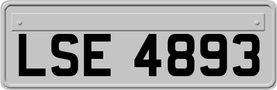 LSE4893