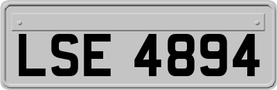 LSE4894