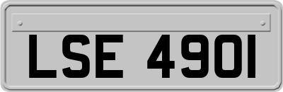 LSE4901