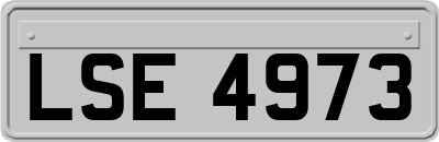 LSE4973