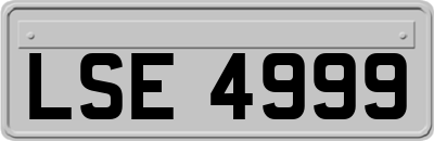 LSE4999