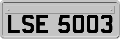LSE5003