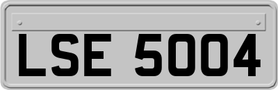 LSE5004