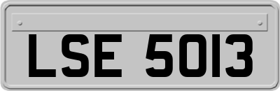 LSE5013