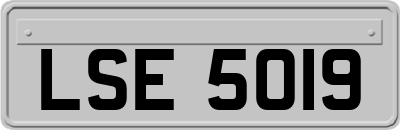 LSE5019